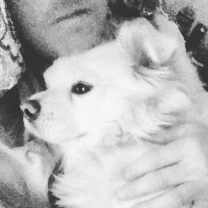 Meet your Posher, Jimmy